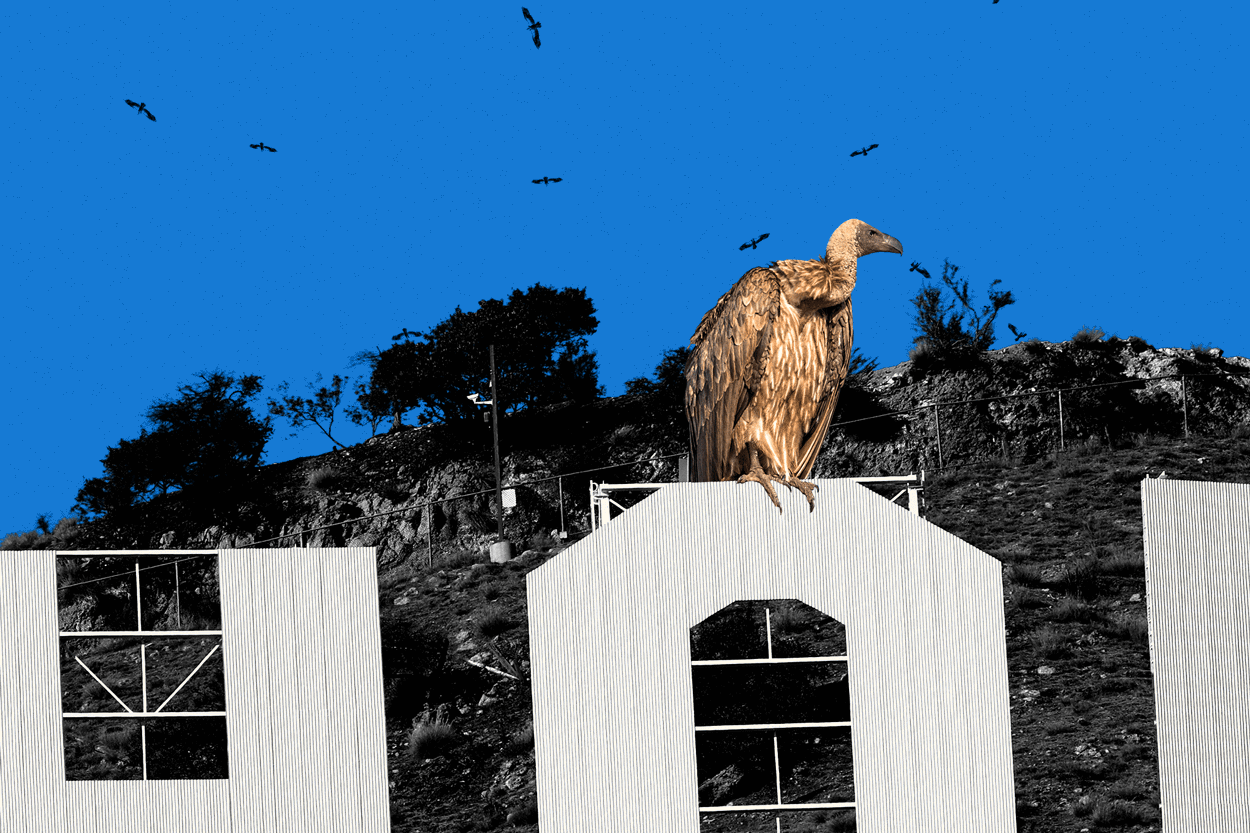 The Day of the Vulture is Here