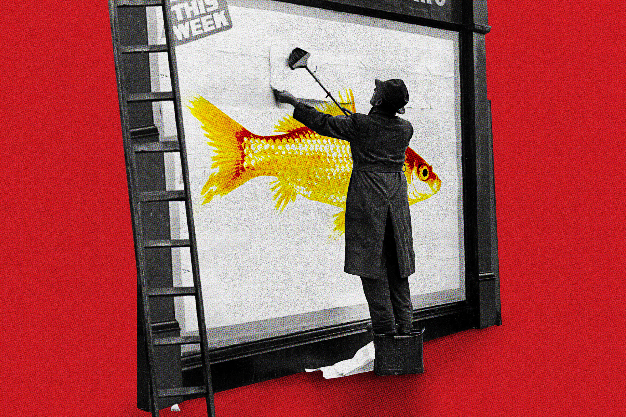 The Goldfish Rules