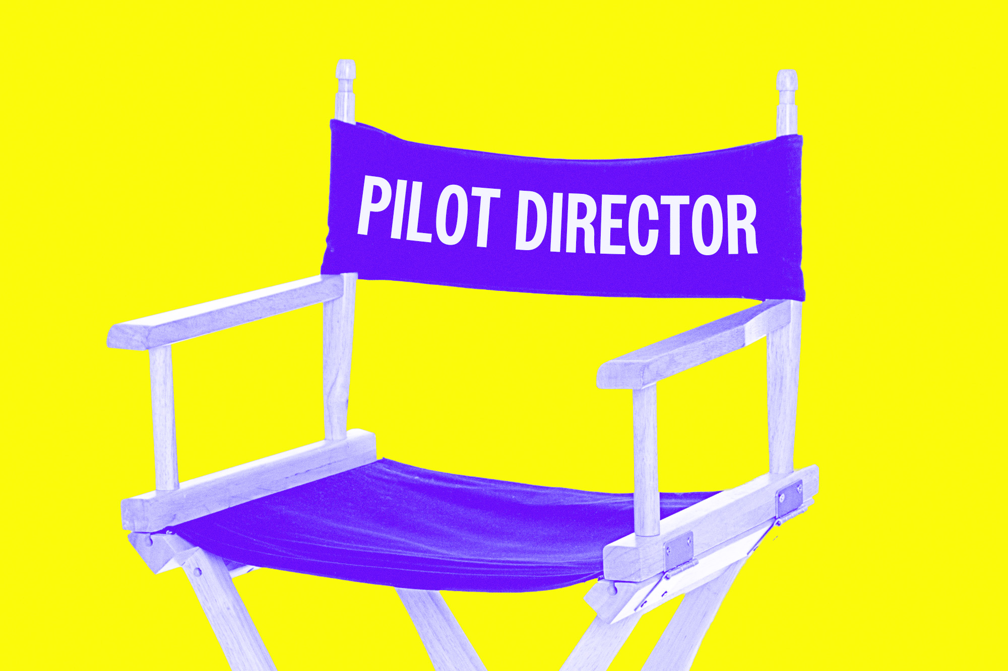 folding director's chair with the text "PILOT DIRECTOR" on the back